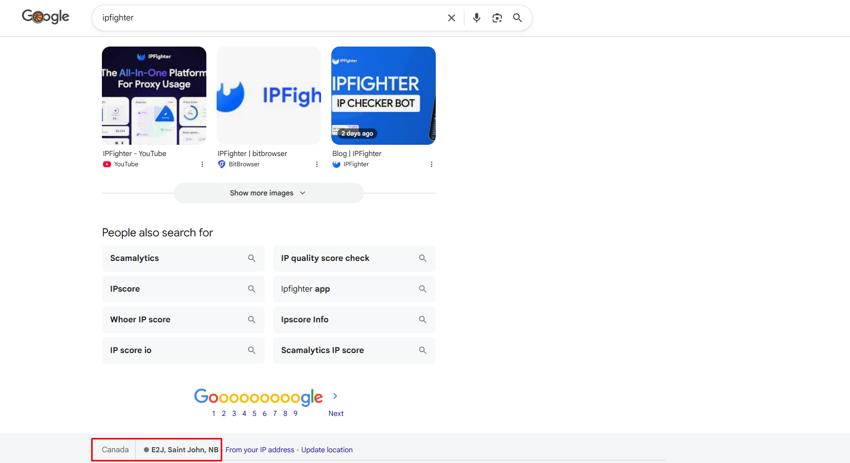 LightningProxies review - Check on the Google search bar