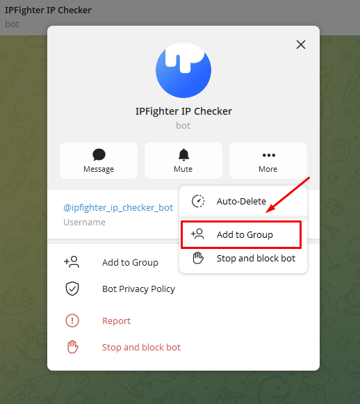 IPFighter IP checker bot - Add bot to your group