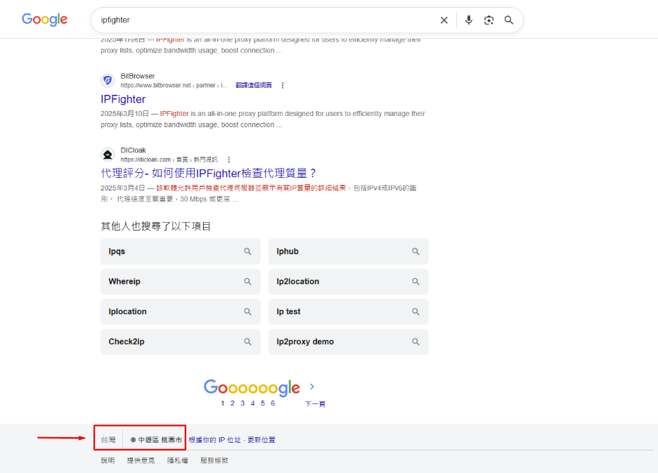 anyip review - check on the google search bar
