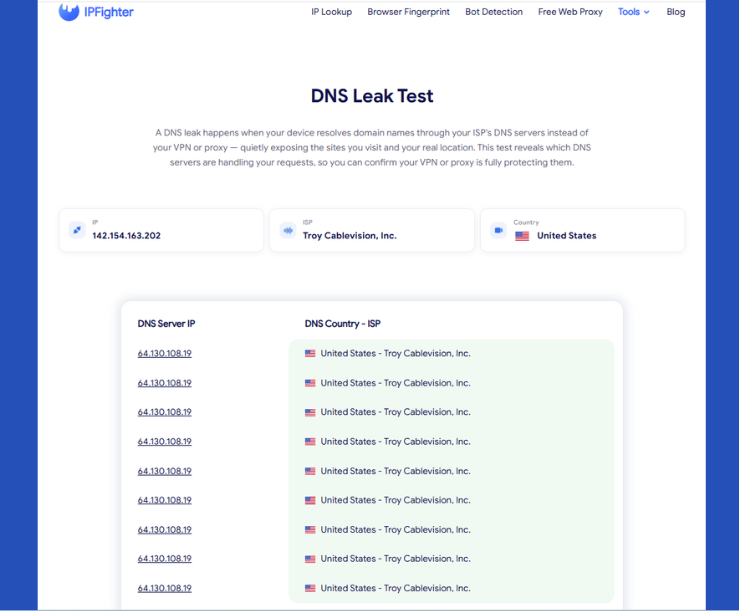 how to know if you have a dns leak - result example 1