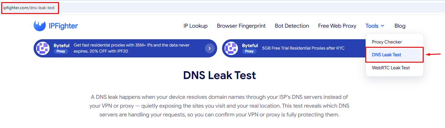 how to know if you have a dns leak - visit dns leak test page