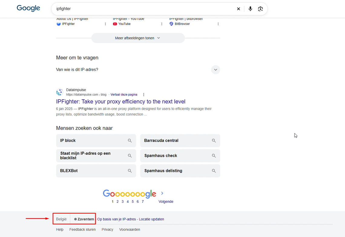 floppydata review - check on the google search bar