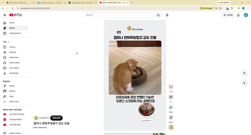 catproxies review - access youtube
