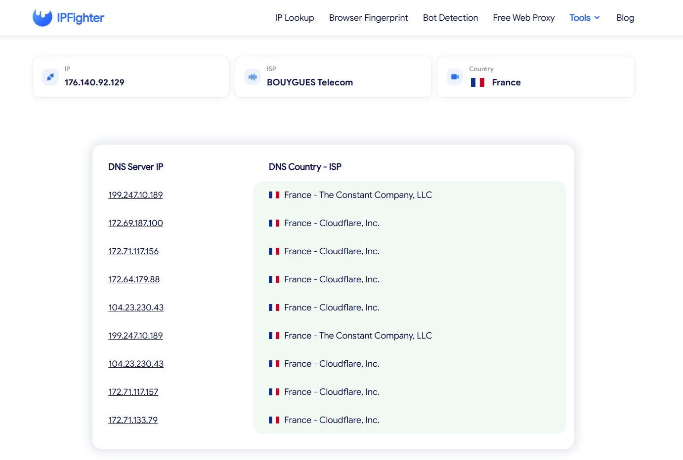 vision browser review - dns leak test results