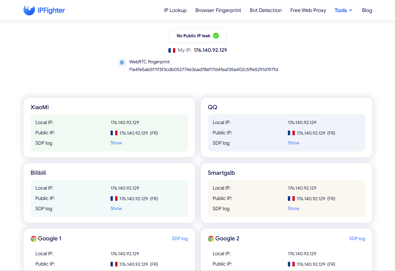 vision browser review - webrtc leak test results